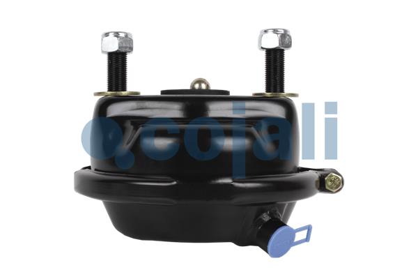 Cojali Remcilindermembraan 2351316