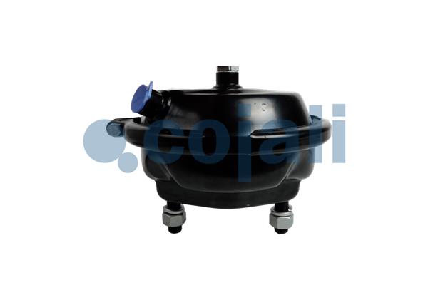 Cojali Remcilindermembraan 2351331