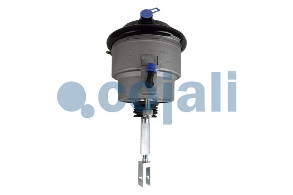 Cojali Remcilindermembraan 2851410