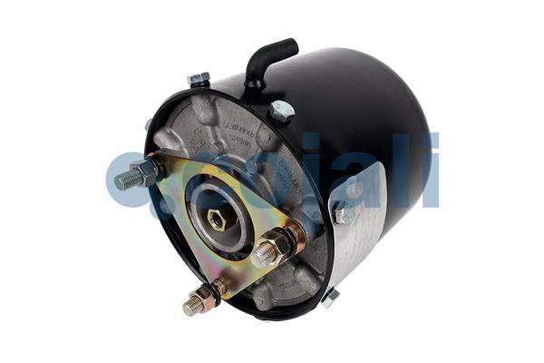 Cojali Remcilindermembraan 2851411