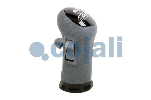 Cojali Pookknoppen  2880139