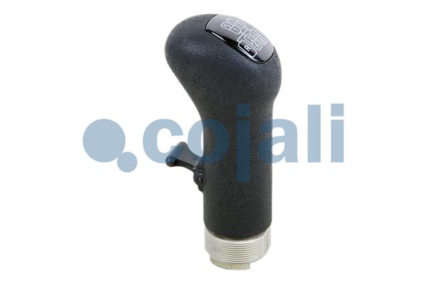 Cojali Pookknoppen  2880142