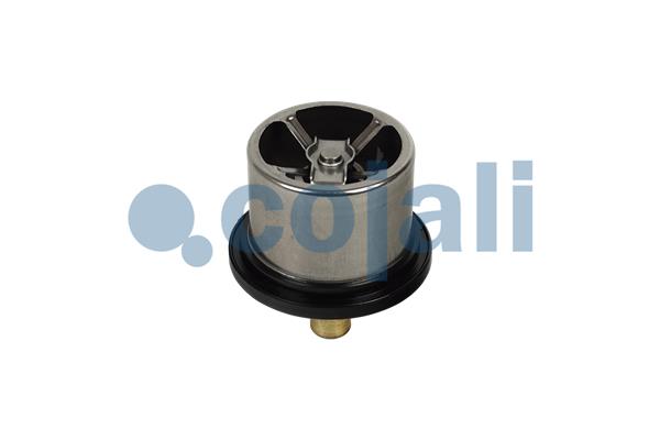 Cojali Thermostaat 2880275