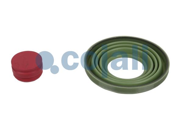 Cojali Remklauw revisie 6082005