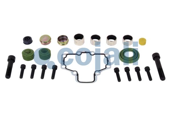 Cojali Remklauw revisie 6082013