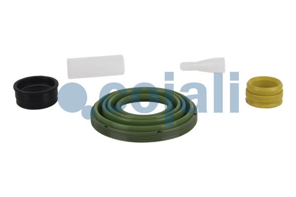 Cojali Remklauw revisie 6082021