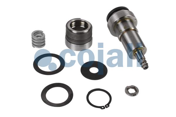 Cojali Remklauw revisie 6082503