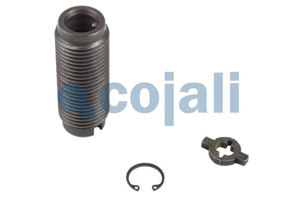 Cojali Remklauw revisie 6082505