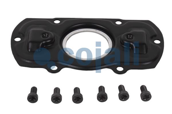 Cojali Remklauw revisie 6082516