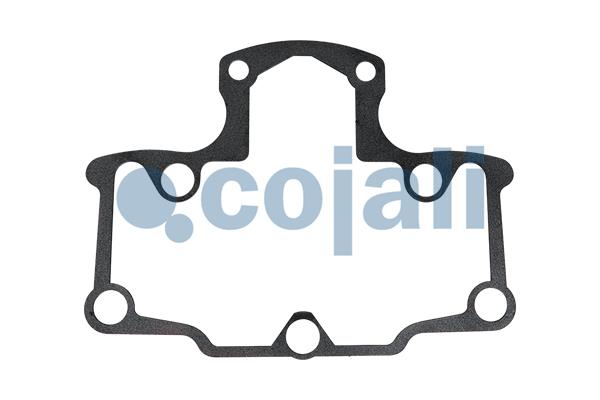 Cojali Remklauw revisie 6082564