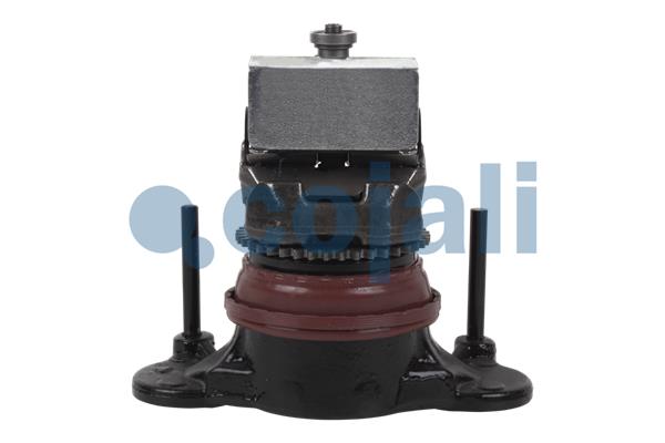 Cojali Remklauw revisie 6083010