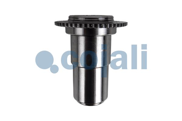 Cojali Remklauw revisie 6083014