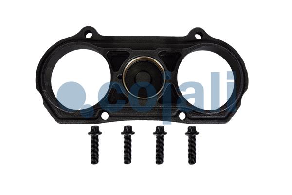 Cojali Remklauw revisie 6083021