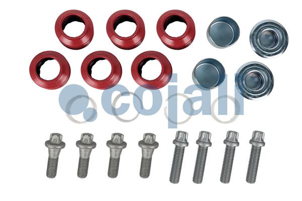 Cojali Remklauw revisie 6083024