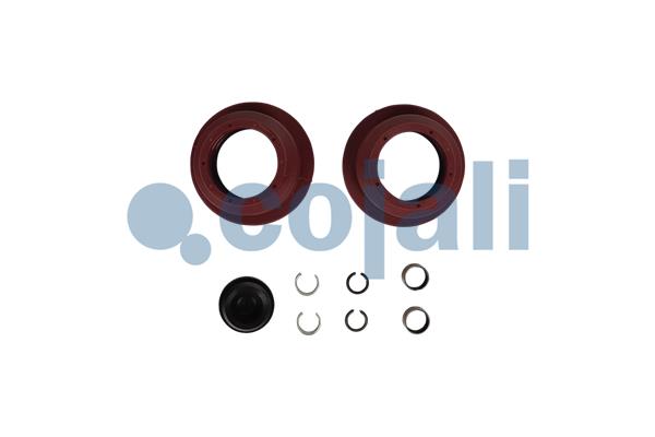 Cojali Remklauw revisie 6083030