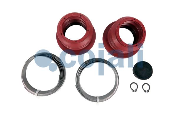 Cojali Remklauw revisie 6083032