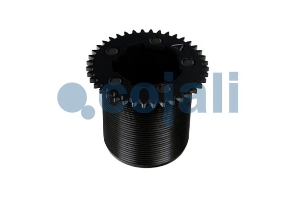 Cojali Remklauw revisie 6083053