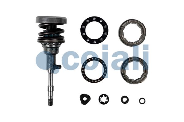 Cojali Remklauw revisie 6083055