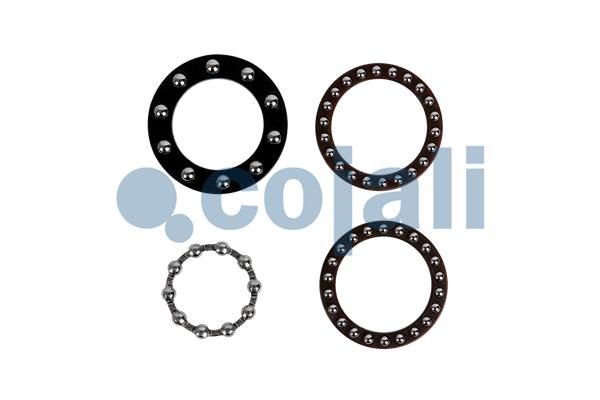 Cojali Remklauw revisie 6083059