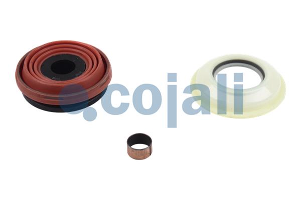 Cojali Remklauw revisie 6084020