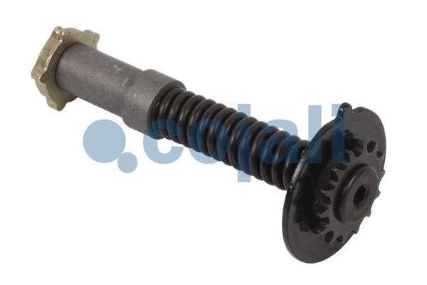 Cojali Remklauw revisie 6084523