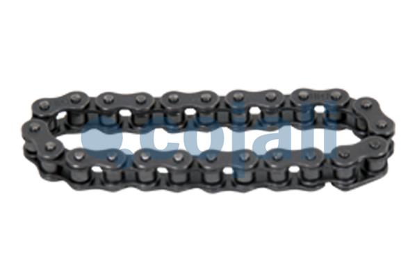 Cojali Remklauw revisie 6084533