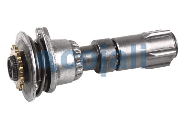 Cojali Remklauw revisie 6084540