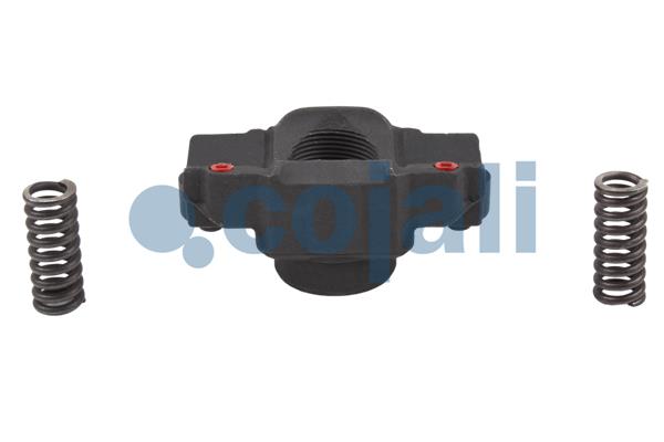 Cojali Remklauw revisie 6084542