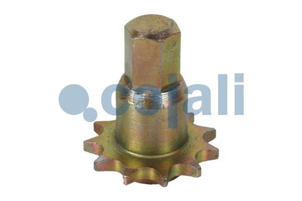 Cojali Remklauw revisie 6084546