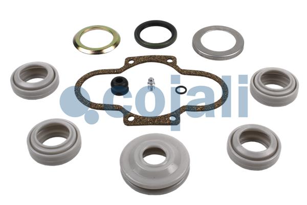 Cojali Remklauw revisie 6086001