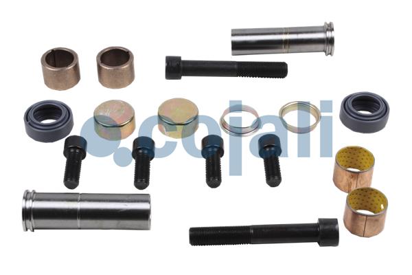 Cojali Remklauw revisie 6086058