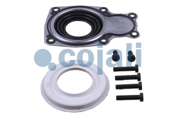 Cojali Remklauw revisie 6086068