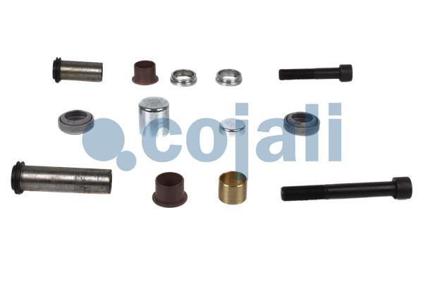 Cojali Remklauw revisie 6086072