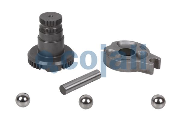 Cojali Remklauw revisie 6086079