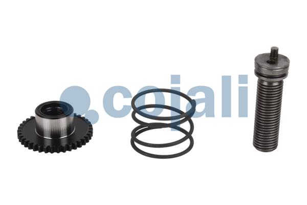 Cojali Remklauw revisie 6086081