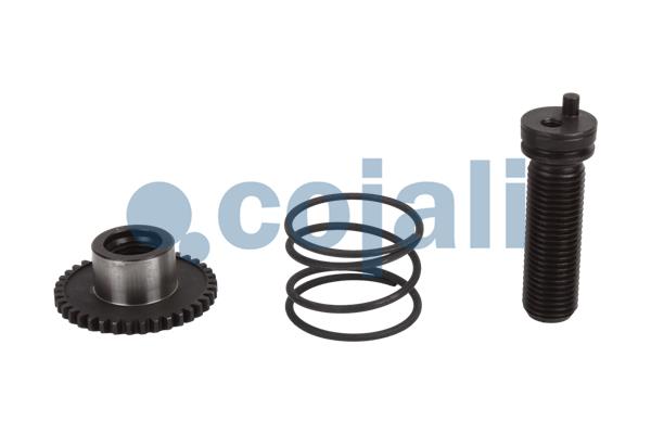 Cojali Remklauw revisie 6086082