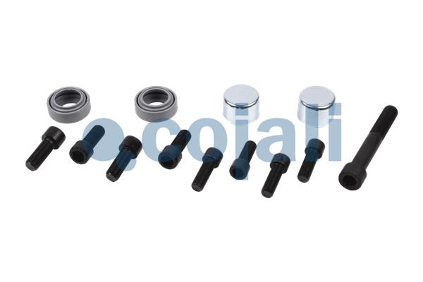 Cojali Remklauw revisie 6086088