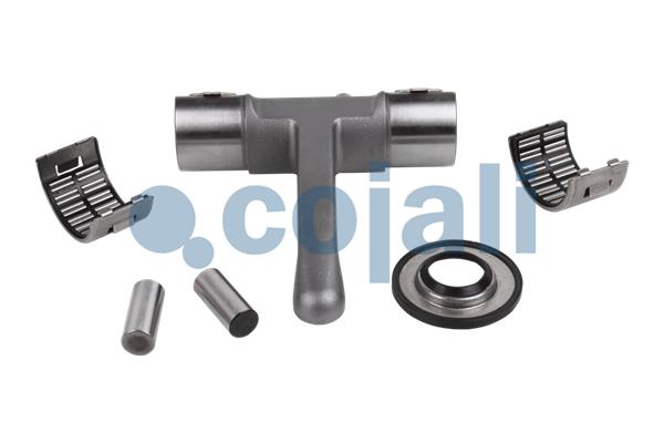 Cojali Remklauw revisie 6086112