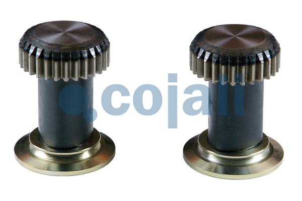 Cojali Remklauw revisie 6086505