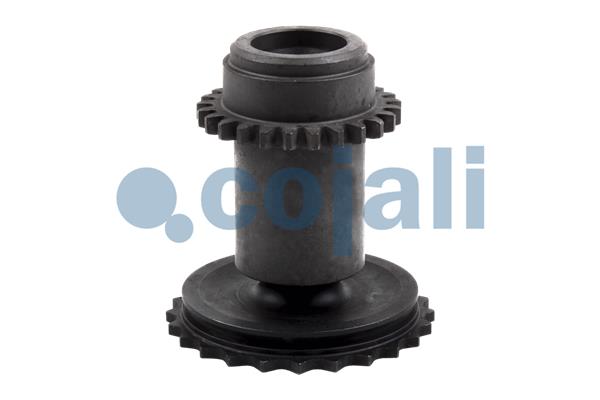 Cojali Remklauw revisie 6086507