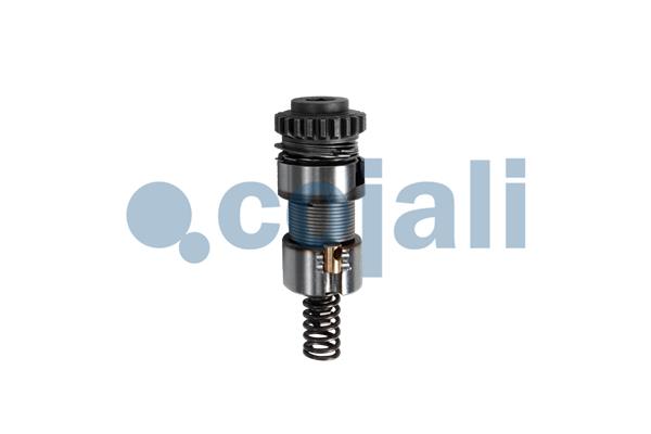 Cojali Remklauw revisie 6086519