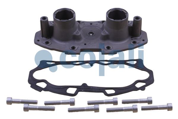 Cojali Remklauw revisie 6086530