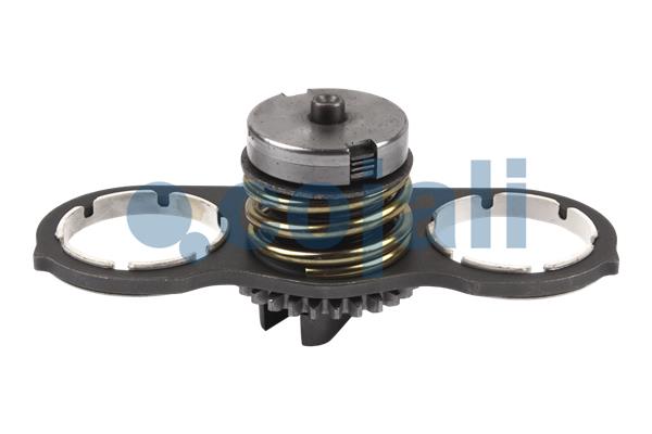 Cojali Remklauw revisie 6086561