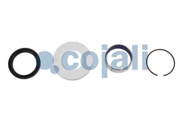 Cojali Remklauw revisie 6086571