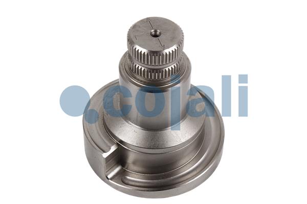 Cojali Remklauw revisie 6086572