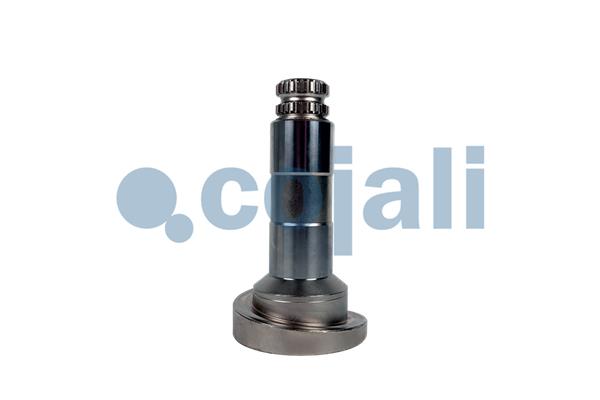 Cojali Remklauw revisie 6086577