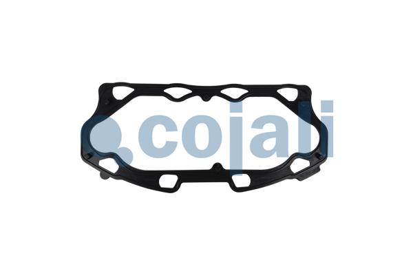 Cojali Remklauw revisie 6086584