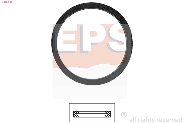 EPS Thermostaat pakking 1.890.559