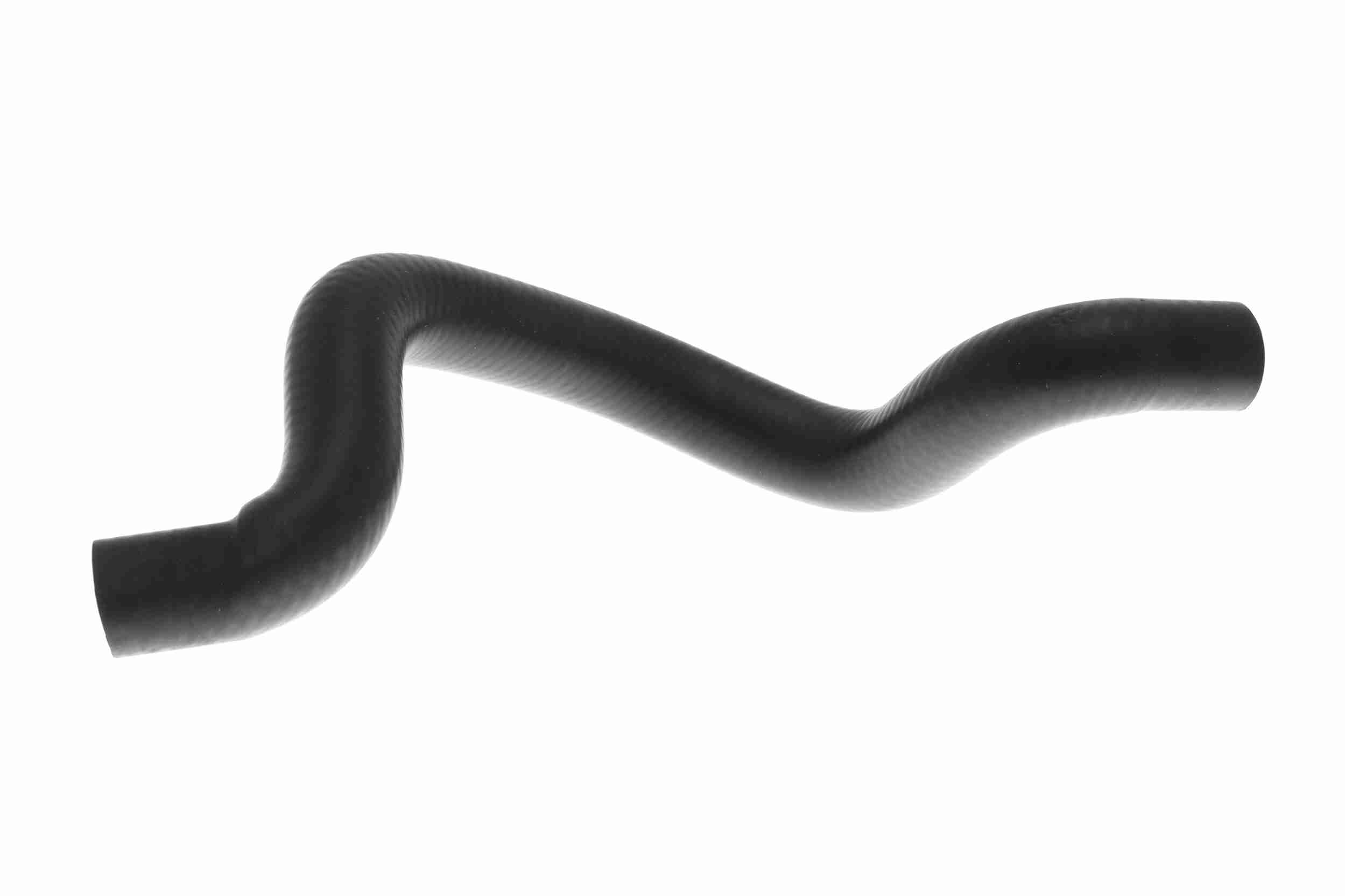 Ackoja Slangen A52-1621