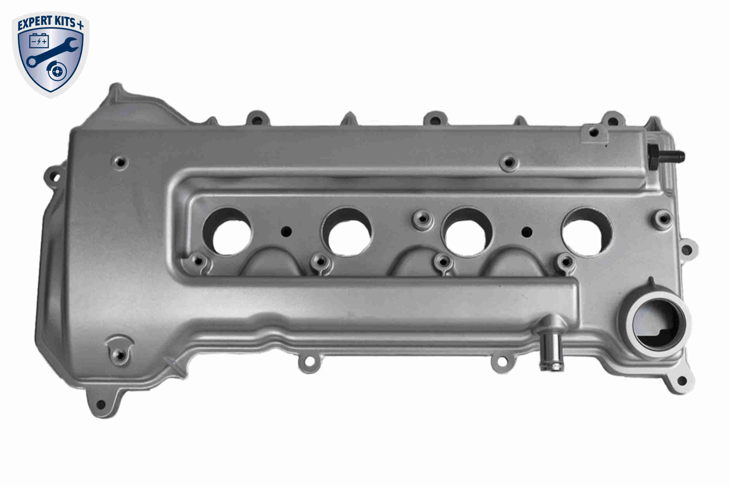 Ackoja Cilinderkopkap A70-0647